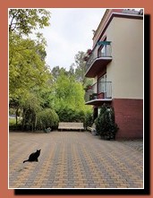 balkony od p�nocy